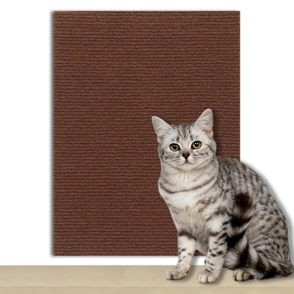 Selbstklebende Schutzplatte für Katzen zum Schutz von Möbeln, Wänden & Teppichen