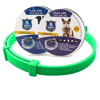 Floh- und Zeckenhalsband für Hunde & Katzen | 8 Monate Schutz