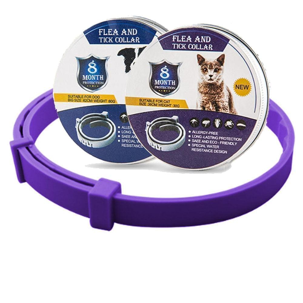 Floh- und Zeckenhalsband für Hunde & Katzen | 8 Monate Schutz