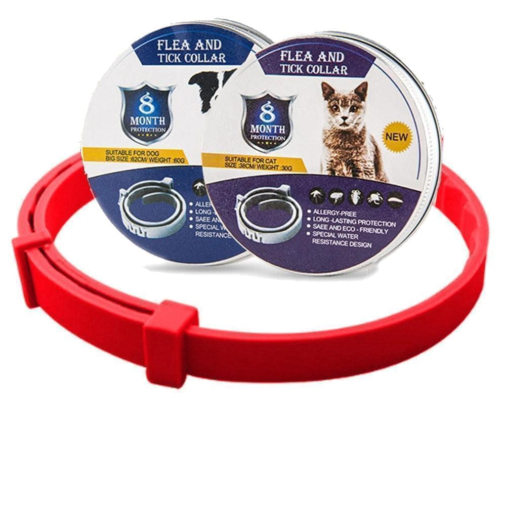 Floh- und Zeckenhalsband für Hunde & Katzen | 8 Monate Schutz