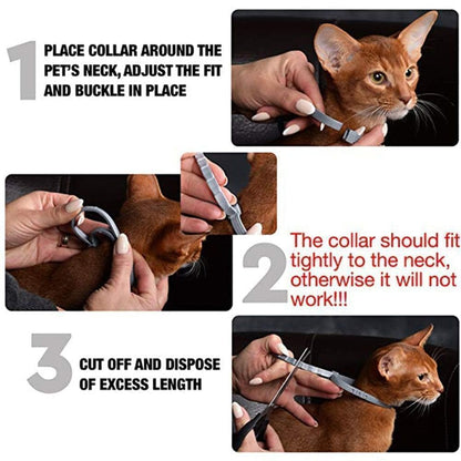 Floh- und Zeckenhalsband für Hunde & Katzen | 8 Monate Schutz