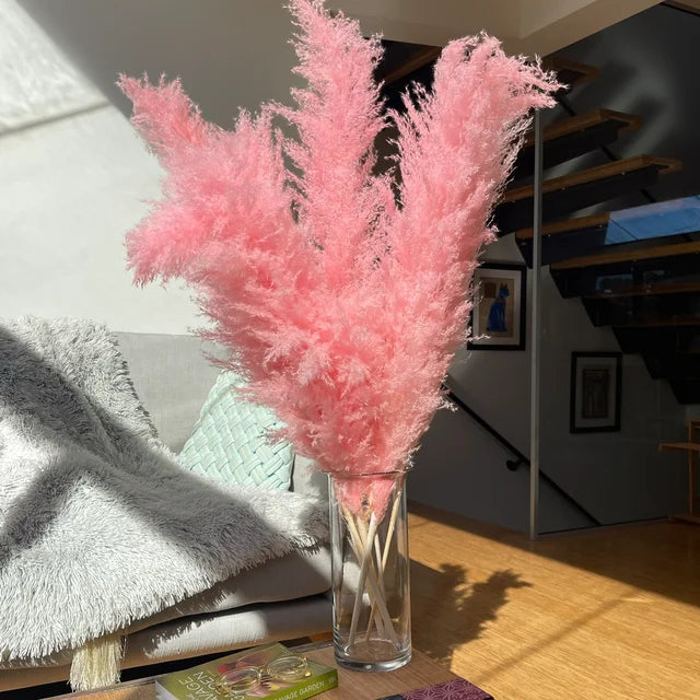 Boho Trocken-Pampasgras für die Wohnkultur