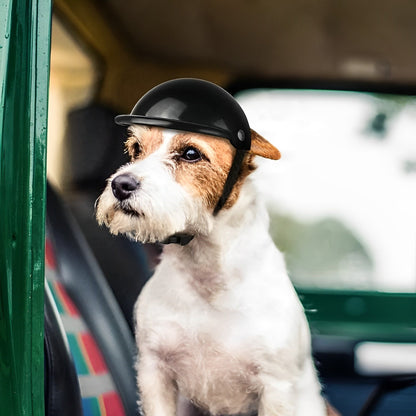 Hund Moto Helm und Brille für sicheres Fahren