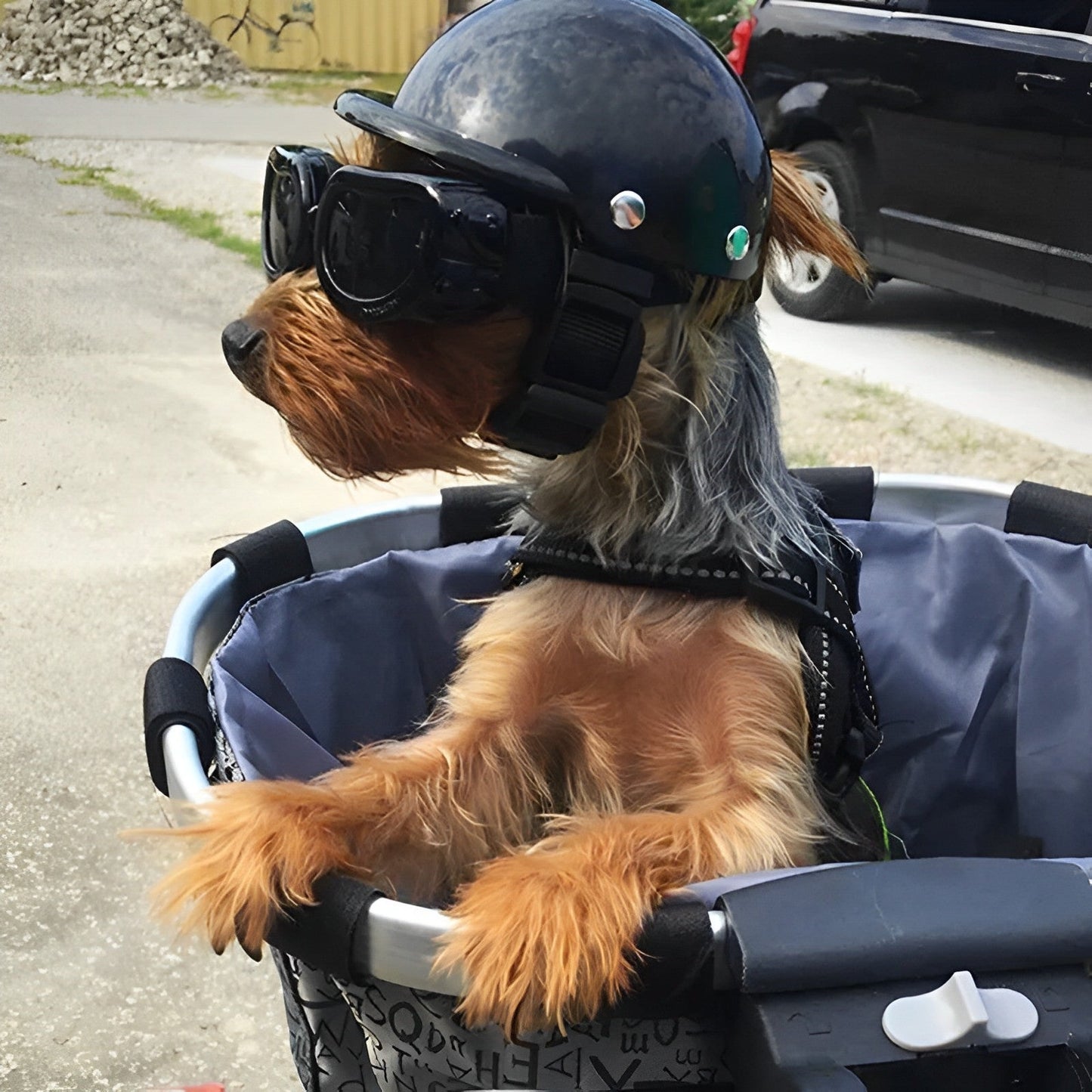 Hund Moto Helm und Brille für sicheres Fahren