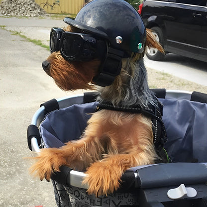 Hund Moto Helm und Brille für sicheres Fahren