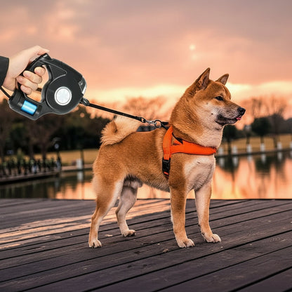 LED-Hundeleine mit integriertem Taschenlampe für sichere Spaziergänge