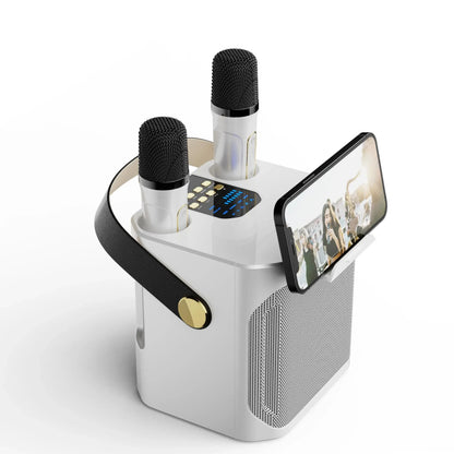 Hochleistungsfähiger tragbarer Karaoke Bluetooth Lautsprecher – 360° Stereo Surround Drahtloser Subwoofer mit zwei Mikrofonen