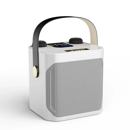 Hochleistungsfähiger tragbarer Karaoke Bluetooth Lautsprecher – 360° Stereo Surround Drahtloser Subwoofer mit zwei Mikrofonen