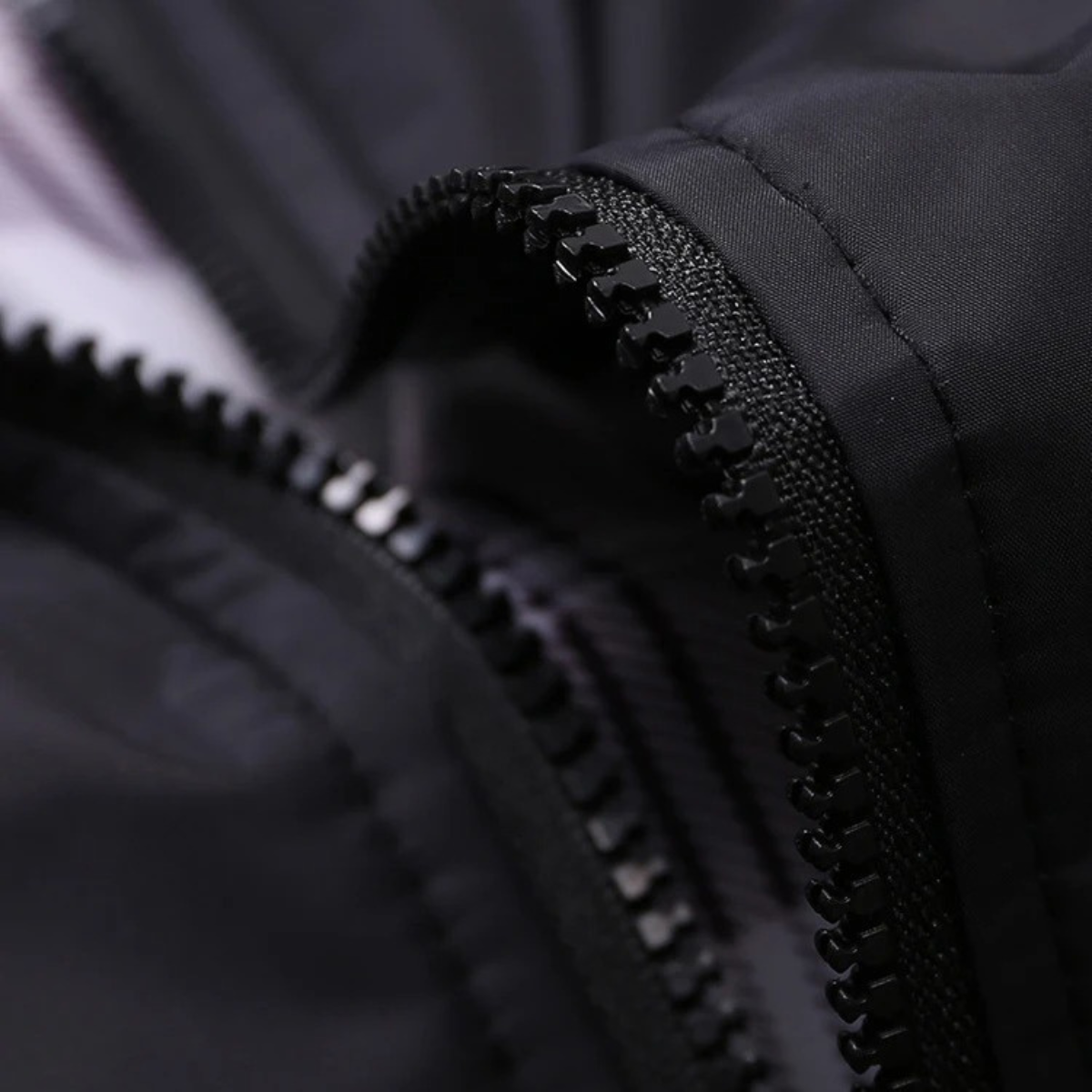 Men's Stand Collar Jacket | Bomber