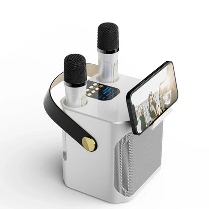 Hochleistungsfähiger tragbarer Karaoke Bluetooth Lautsprecher – 360° Stereo Surround Drahtloser Subwoofer mit zwei Mikrofonen