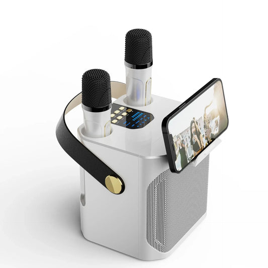 Hochleistungsfähiger tragbarer Karaoke Bluetooth Lautsprecher – 360° Stereo Surround Drahtloser Subwoofer mit zwei Mikrofonen