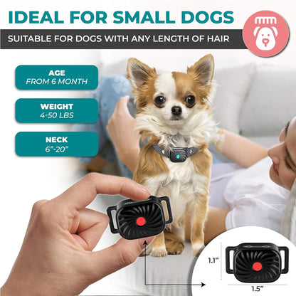 Anti-Bell-Halsband für kleine Hunde | Funktionen: Geräusch & Vibration | IP87 wasserdicht | Verstellbare & sanfte Trainingslösung