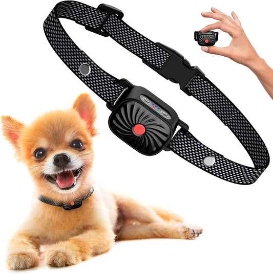 Anti-Bell-Halsband für kleine Hunde | Funktionen: Geräusch & Vibration | IP87 wasserdicht | Verstellbare & sanfte Trainingslösung
