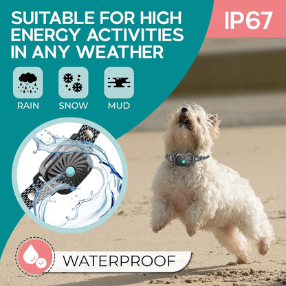 Anti-Bell-Halsband für kleine Hunde | Funktionen: Geräusch & Vibration | IP87 wasserdicht | Verstellbare & sanfte Trainingslösung