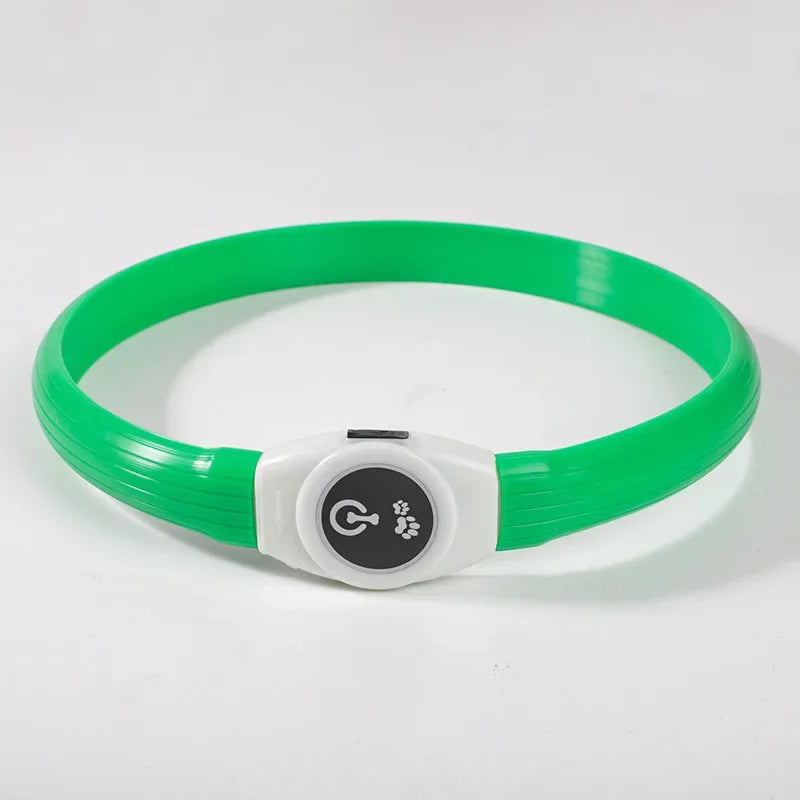 LED-Hundehalsband für sichere Abendspaziergänge