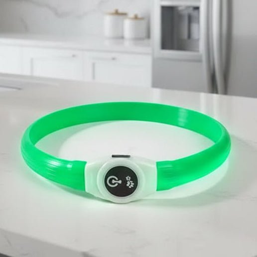 LED-Hundehalsband für sichere Abendspaziergänge