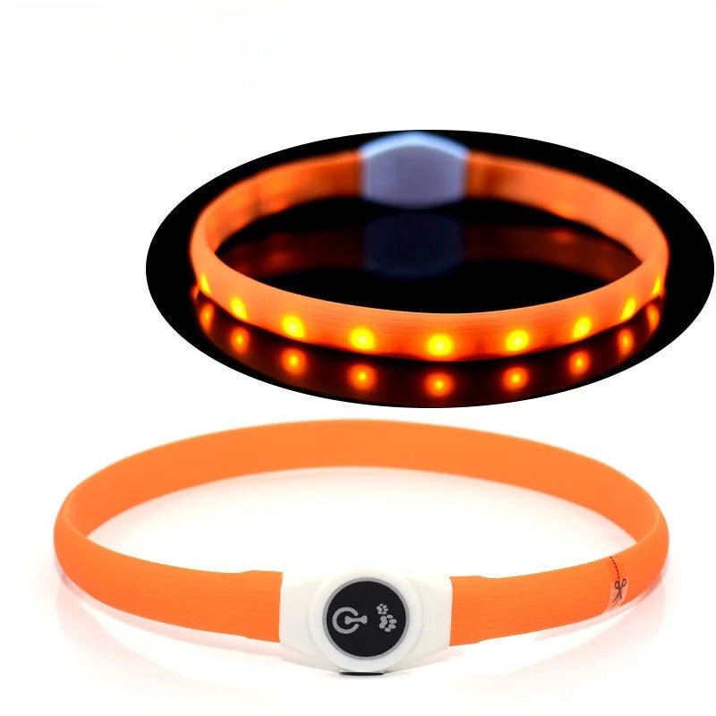 LED-Hundehalsband für sichere Abendspaziergänge