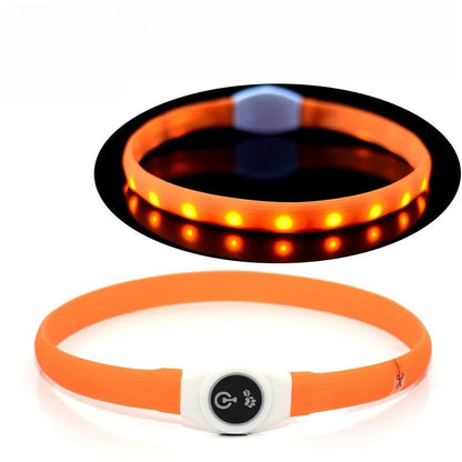 LED-Hundehalsband für sichere Abendspaziergänge