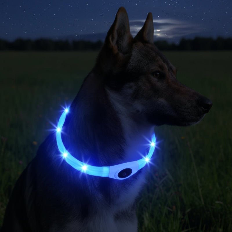 LED-Hundehalsband für sichere Abendspaziergänge