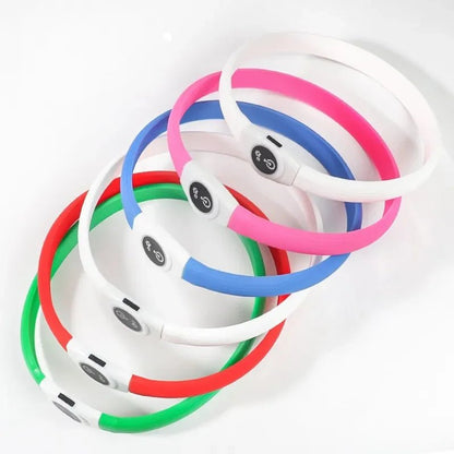 LED-Hundehalsband für sichere Abendspaziergänge