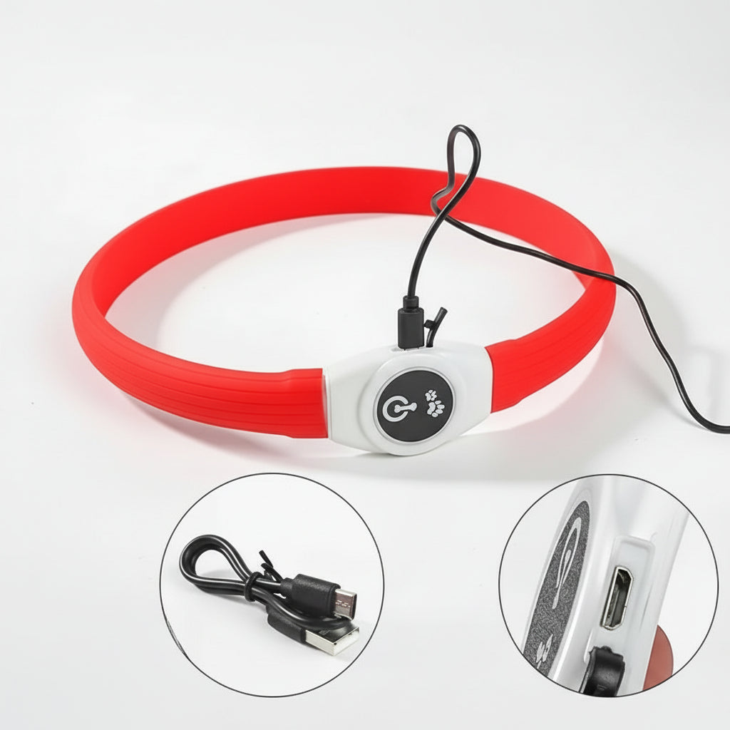 LED-Hundehalsband für sichere Abendspaziergänge