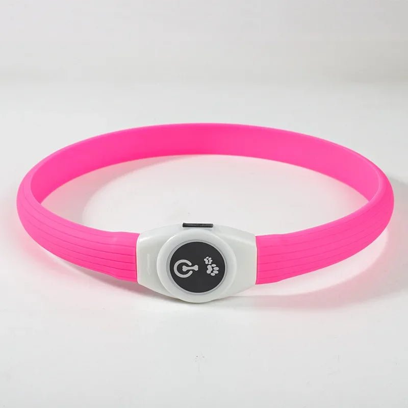LED-Hundehalsband für sichere Abendspaziergänge
