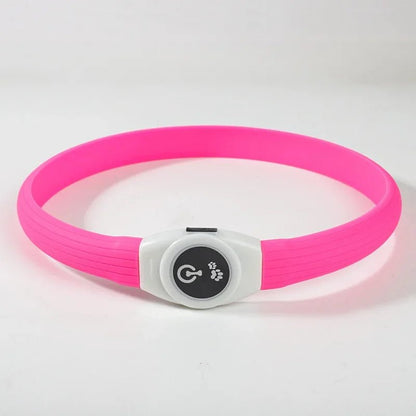 LED-Hundehalsband für sichere Abendspaziergänge
