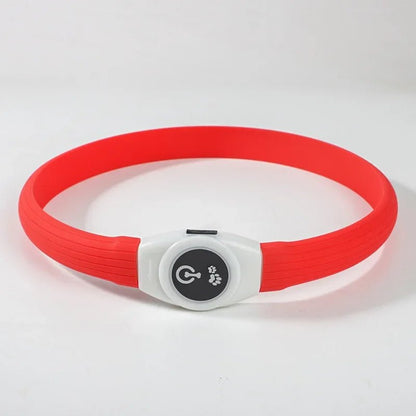 LED-Hundehalsband für sichere Abendspaziergänge