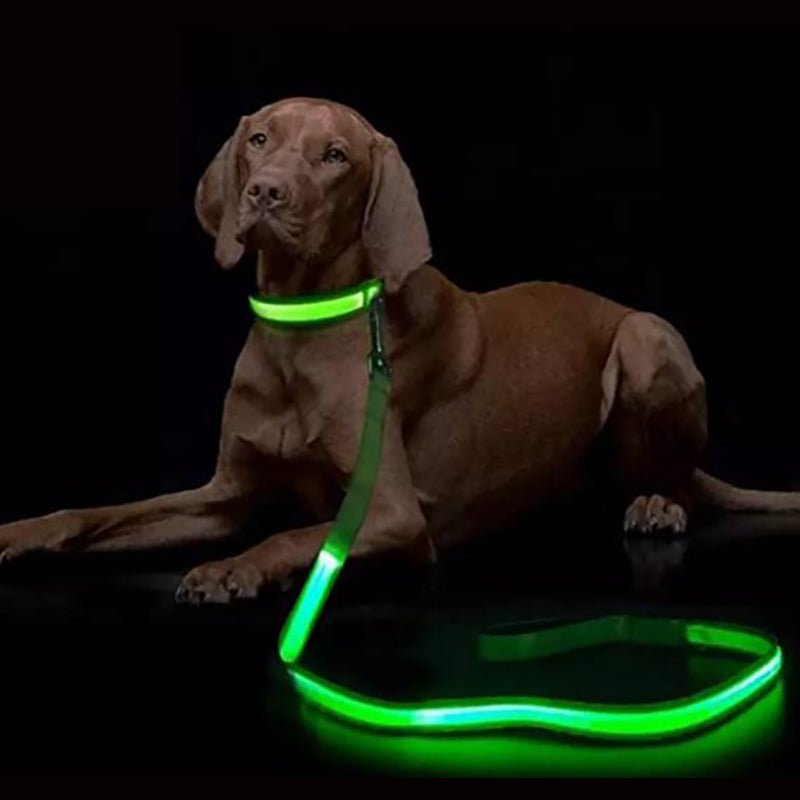 LED-Hundeleine mit USB-Ladung und reflektierendem Design