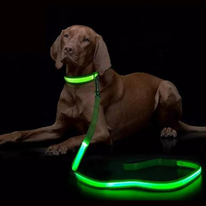 LED-Hundeleine mit USB-Ladung und reflektierendem Design
