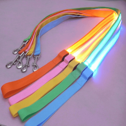 LED-Hundeleine mit USB-Ladung und reflektierendem Design