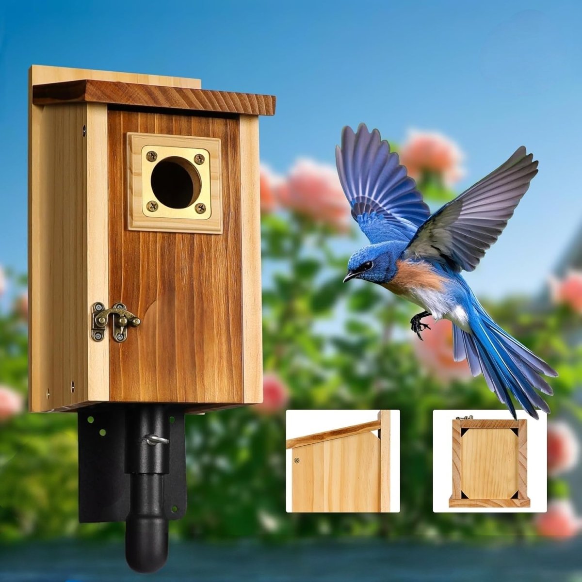 Holz-Nistkasten für Blauhäher, Schwalben und kleine Vögel