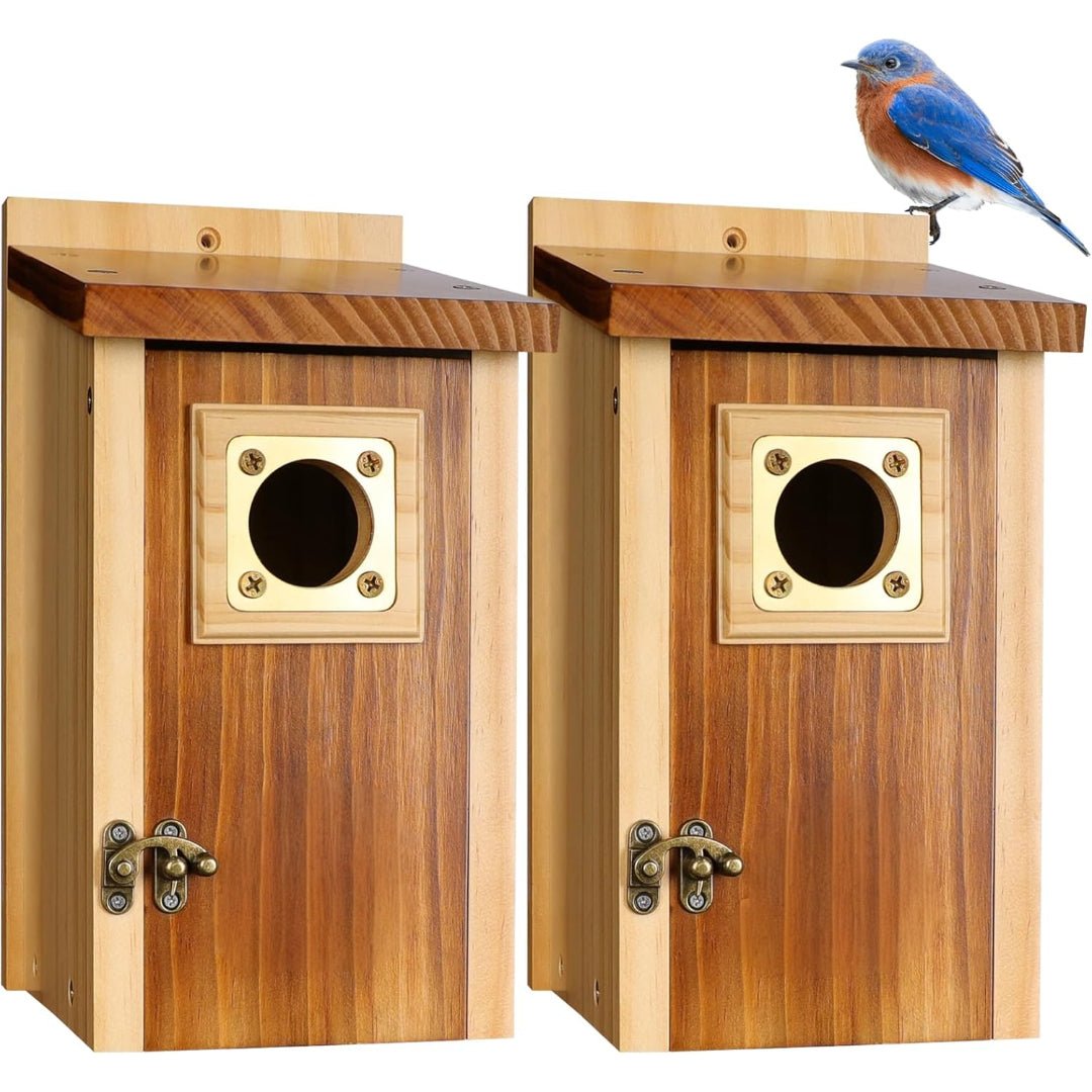 Holz-Nistkasten für Blauhäher, Schwalben und kleine Vögel