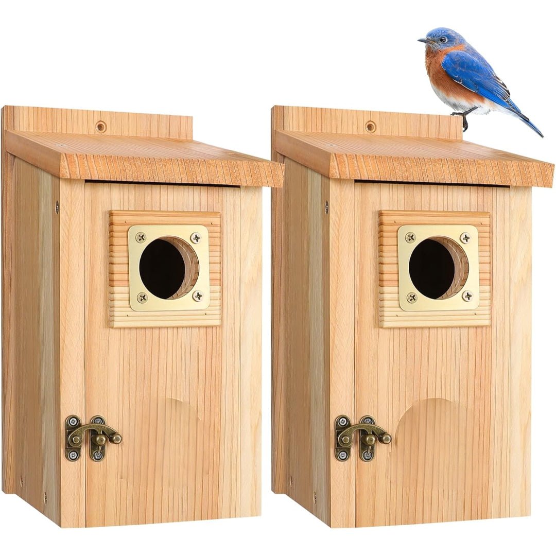 Holz-Nistkasten für Blauhäher, Schwalben und kleine Vögel