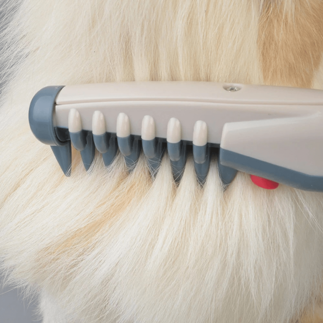 Sanfter Felltrimmer für alle Felltypen