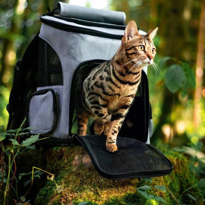 Bequemer Katzen-Rucksack mit Sichtfenster