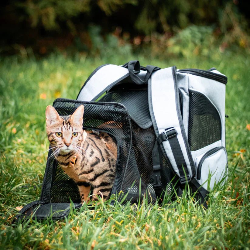 Bequemer Katzen-Rucksack mit Sichtfenster