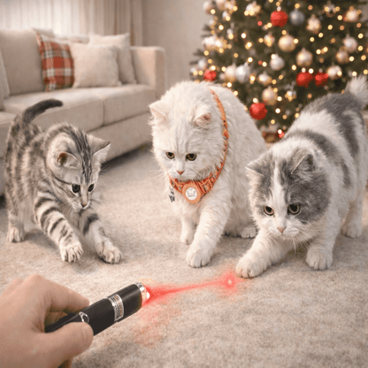 Mini LED Laserpointer & Taschenlampe 2-in-1 Haustier-Spielzeug