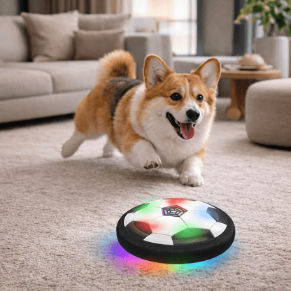 Interaktive Spielball für Hunde mit unvorhersehbaren Bewegungen