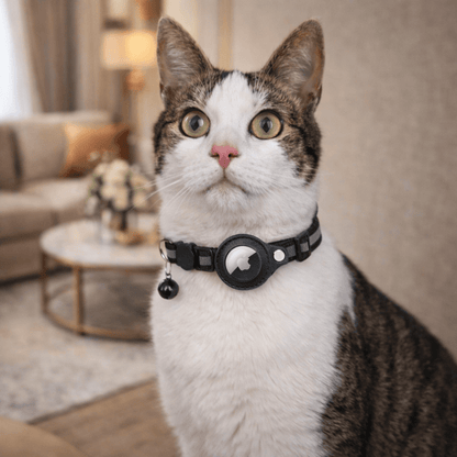 GPS-Tracker-Halsband für Katzensicherheit und Sichtbarkeit