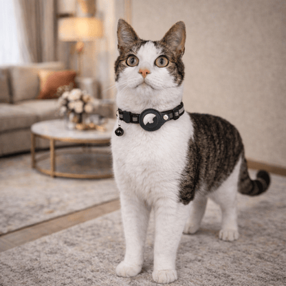 GPS-Tracker-Halsband für Katzensicherheit und Sichtbarkeit