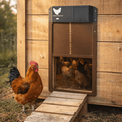 Automatische Hühnerstall-Tür mit Lichtsensor und Wetterschutz