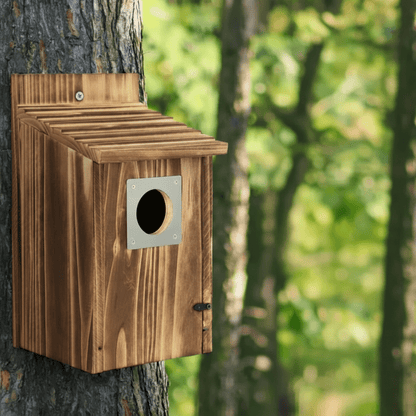 Holz-Nistkasten für Blauhäher, Schwalben und kleine Vögel