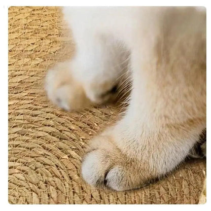 Ultraweiches und gemütliches Katzenbett