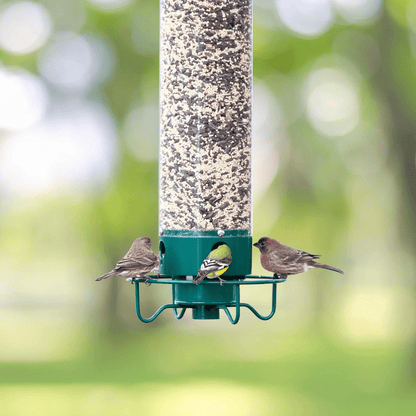 Eichhörnchen-sichere Vogelhaus mit drehbarem Sitzplatz und 4 Futteröffnungen