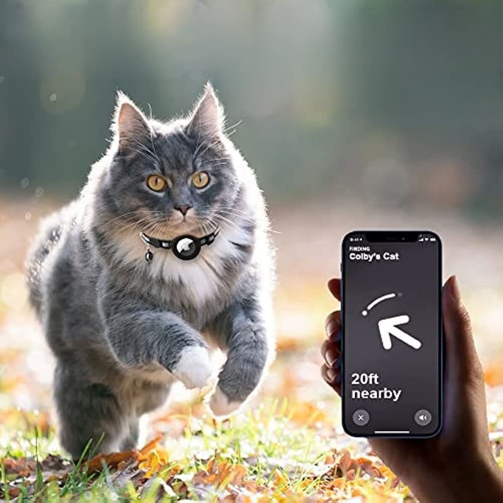 GPS-Tracker-Halsband für Katzensicherheit und Sichtbarkeit