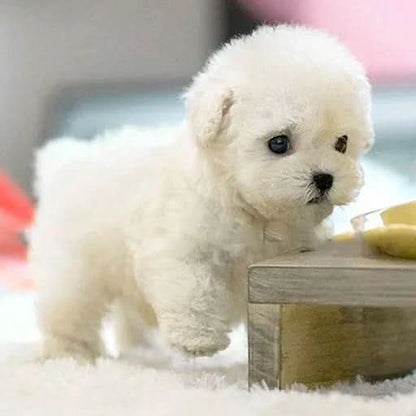 Beweglicher Plüschhund für Kinder - Perfekt für verspielte Kuschelstunden