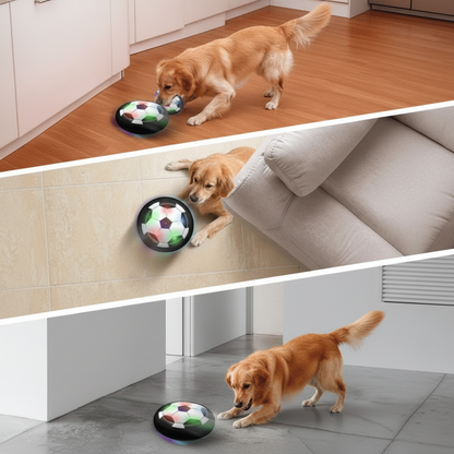 Interaktive Spielball für Hunde mit unvorhersehbaren Bewegungen