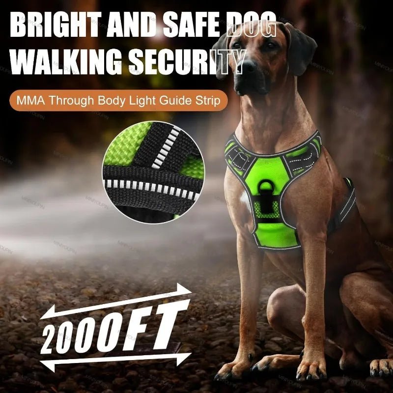 Wiederaufladbares LED-Hundegeschirr für verbesserte Sicherheit bei Nacht