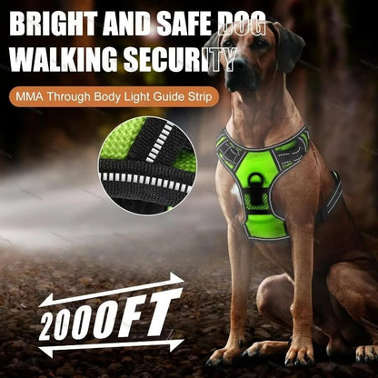 Wiederaufladbares LED-Hundegeschirr für verbesserte Sicherheit bei Nacht